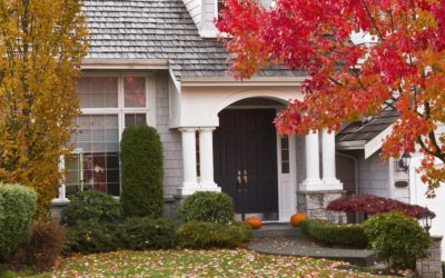 7 Safety Tips for Autumn Yard Cleanup